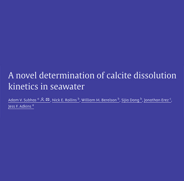 A novel determination of calcite dissolution kinetics in seawater